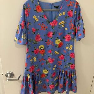 Ann Taylor Floral Ruffle Dress Size 2